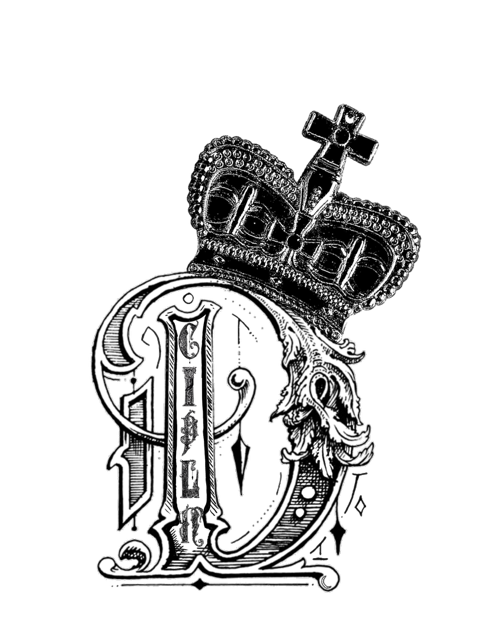DCIPLN logo
